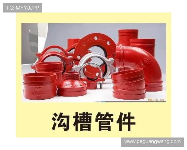 多种k8娱乐下载方式介绍，满足不同用户的下载需求